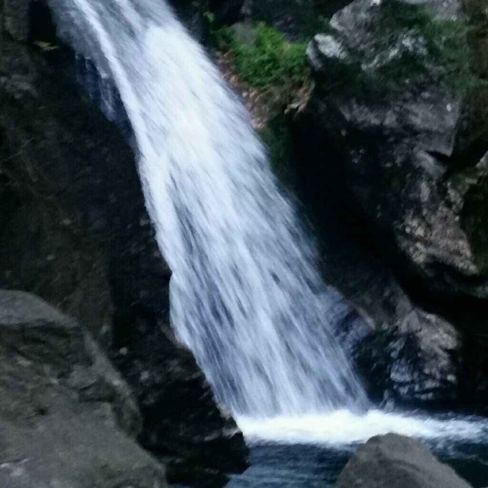 Meet your Posher, Crystal